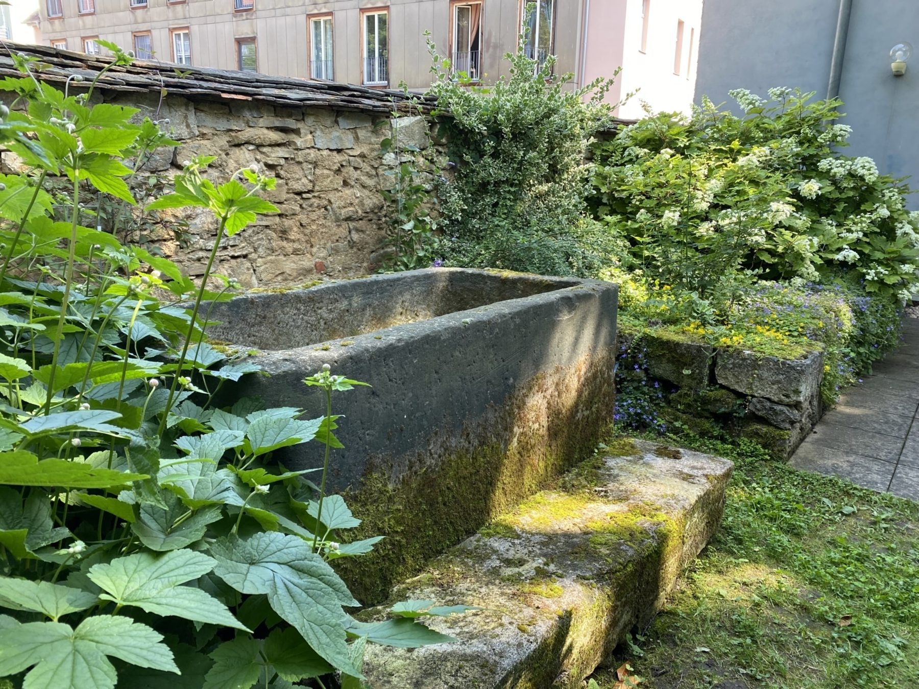 Steinernes Brunnenbecken im Garten